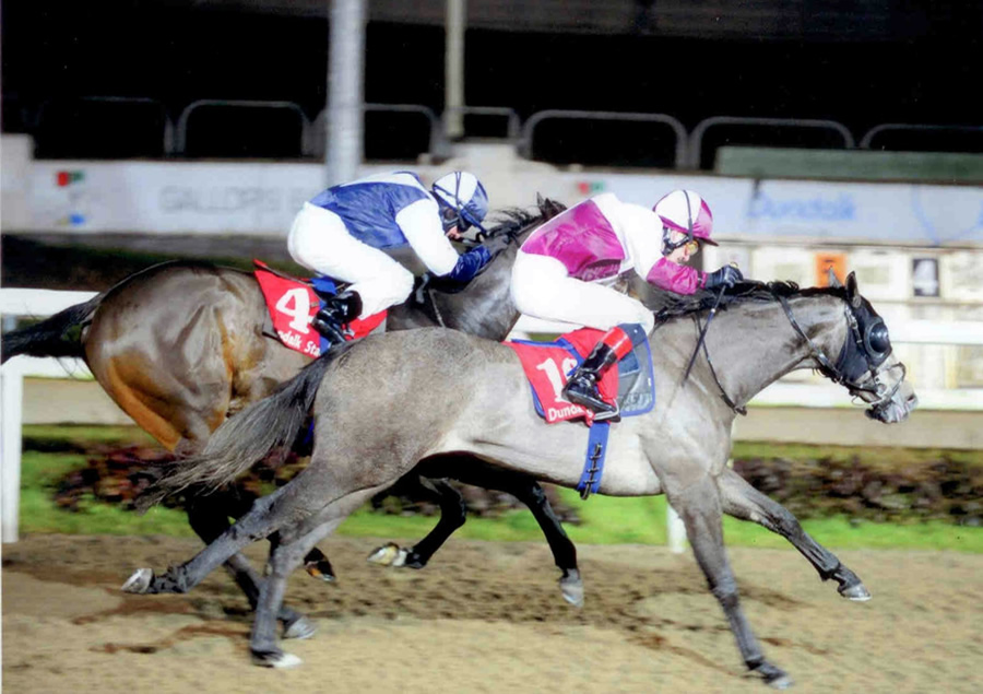 TOCCATA BLUE - Winning at Dundalk 18th Jan.